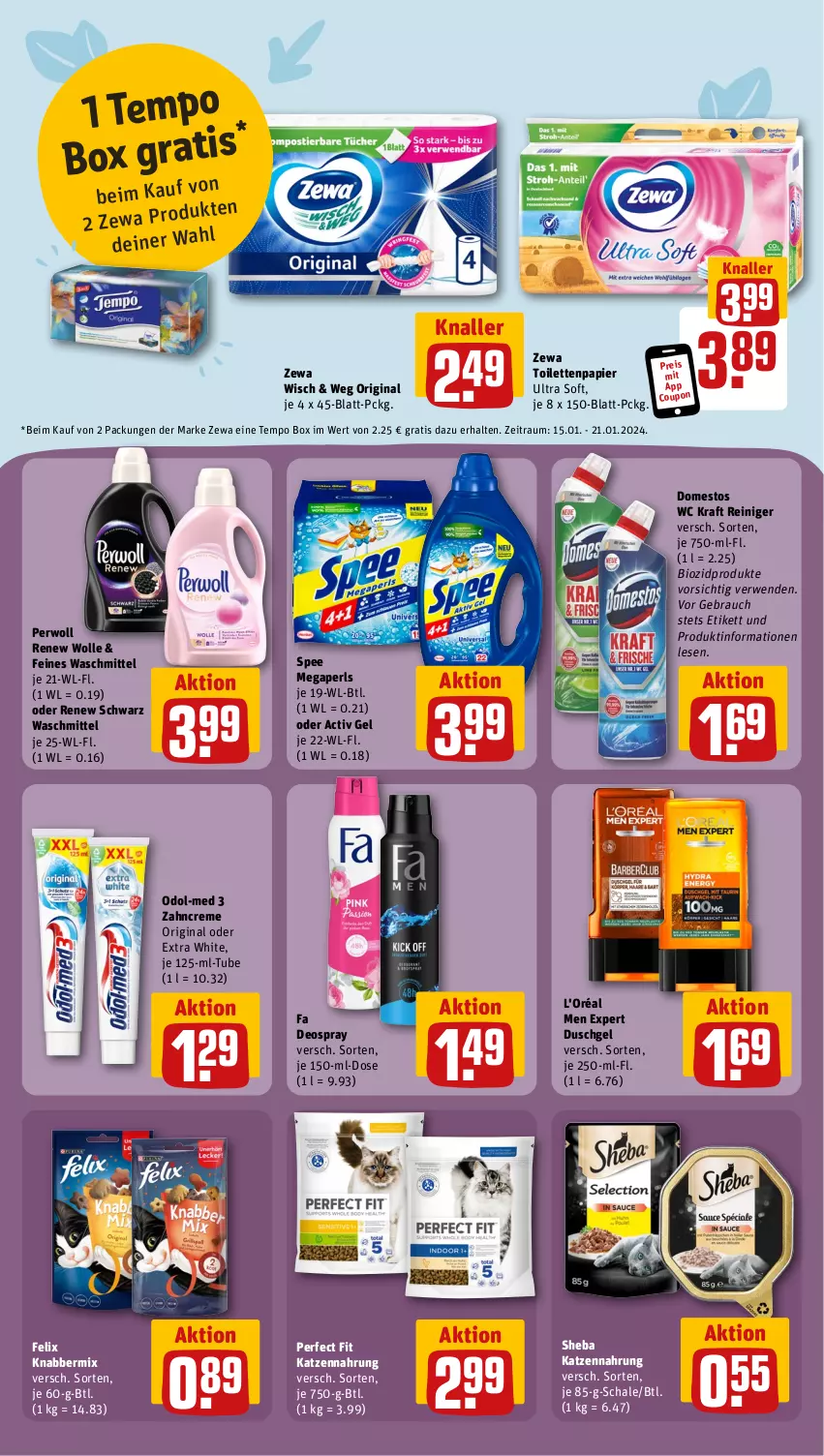 Aktueller Prospekt Rewe - Prospekte - von 15.01 bis 20.01.2024 - strona 17 - produkty: bio, biozidprodukte, coupon, creme, deo, deospray, domestos, duschgel, eis, felix, gin, katzennahrung, kraft, megaperls, Odol, Odol-med 3, papier, Perfect Fit, perwoll, Rauch, reiniger, reis, rwe, Schal, Schale, sheba, spee, Tempo, Ti, toilettenpapier, waschmittel, wolle, zahncreme, zewa