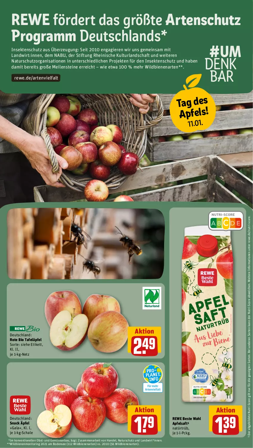 Aktueller Prospekt Rewe - Prospekte - von 08.01 bis 13.01.2024 - strona 15 - produkty: apfel, apfelsaft, Bau, bio, elle, insektenschutz, monitor, natur, obst, rewe beste wahl, ring, saft, Schal, Schale, sekt, snack, tafeläpfel, Ti, und gemüse, Wild