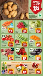 Gazetka promocyjna Rewe - Prospekte - Gazetka - ważna od 13.01 do 13.01.2024 - strona 9 - produkty: aubergine, bio, blume, blumen, Blumenstrauß, eis, elle, Germ, gin, kartoffel, kartoffeln, möhren, paprika, radieschen, rispentomaten, Schal, Schale, snack, speisekartoffeln, speisemöhren, stauden, Ti, tomate, tomaten, Weißkohl