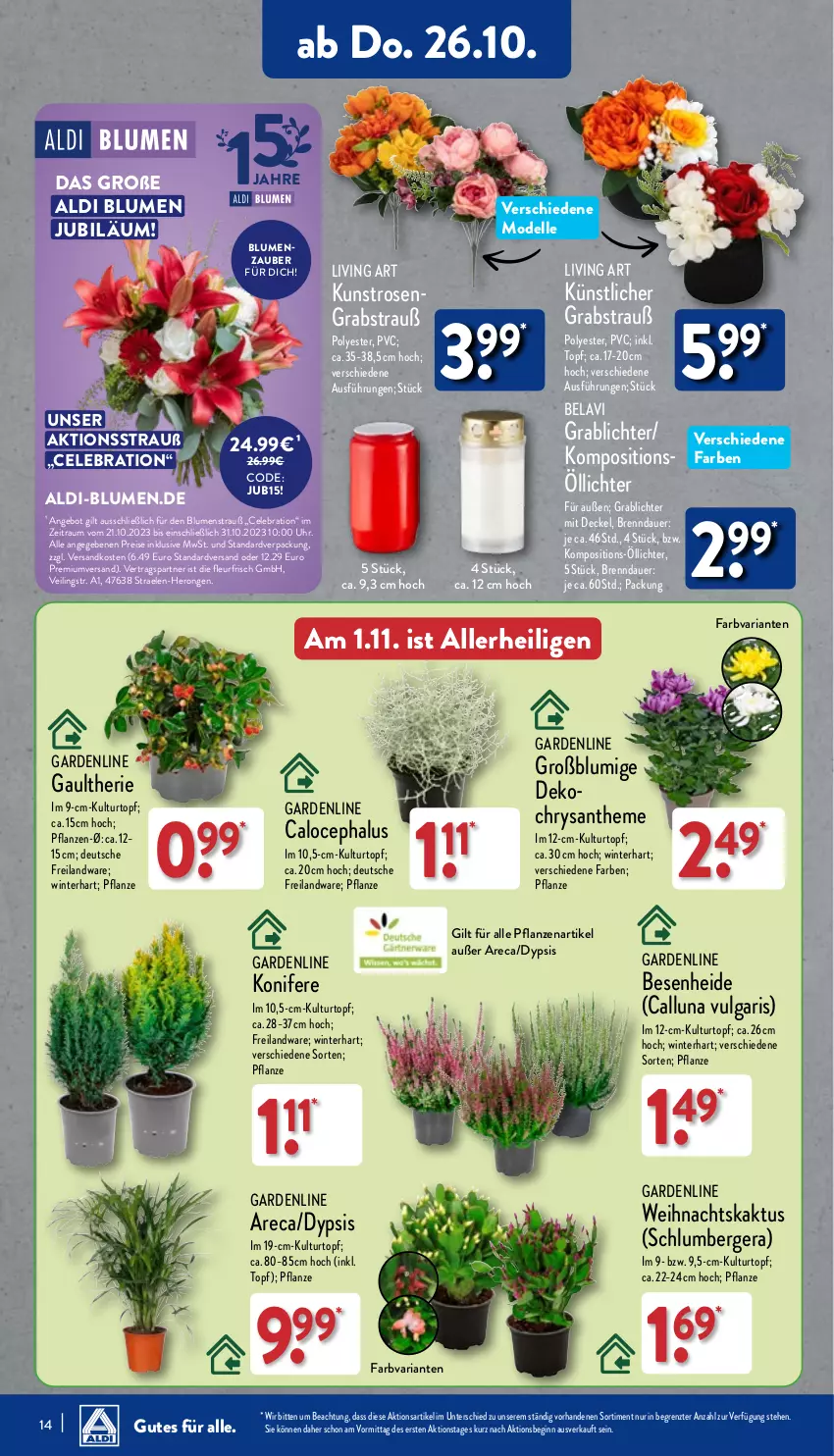 Aktueller Prospekt Aldi Nord - Von Montag - von 23.10 bis 28.10.2023 - strona 14 - produkty: aldi, angebot, auer, Berger, blume, blumen, Blumenstrauß, Blüte, Brei, decke, Deckel, dell, eis, elle, gin, hero, Konifere, kulturtopf, LG, Mode, ndk, pflanze, pflanzen, reis, Ria, rosen, Ti, topf, uhr, ZTE