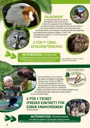 Gazetka promocyjna Diska - Gazetka - ważna od 13.07 do 13.07.2024 - strona 24 - produkty: deka, eier, eis, elle, reifen, reis, ring, Schal, steiner, Ti, tisch, uhr, uhu, Wild, Zelt