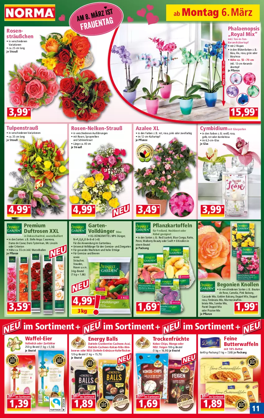 Aktueller Prospekt Norma - Norma - von 06.03 bis 13.03.2023 - strona 11 - produkty: Alcon, ball, Bau, beere, beeren, Begonie, beutel, Blüte, butter, camelia, Cashew, chips, cranberries, Datteln, dünger, eier, elle, erdnüsse, Feigen, früchte, Garten, hafer, haferflocken, himbeer, himbeere, himbeeren, K2, kakao, kartoffel, kartoffeln, kokos, Kraut, kulturtopf, mango, milch, perlen, pflanze, pflanzen, Pflanzkartoffeln, phalaenopsis, Ria, rosen, stauden, tee, Ti, topf, Trockenfrüchte, übertopf, vollmilch, waffeln