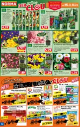 Gazetka promocyjna Norma - Norma - Gazetka - ważna od 13.03 do 13.03.2023 - strona 12 - produkty: abis, apfel, auer, ball, beere, beeren, beutel, blume, Blüte, brombeere, creme, Cremewaffeln, elle, Garten, heidelbeere, himbeer, himbeere, hochland, honig, johannisbeere, kakao, kirsch, kirsche, kulturtopf, Mini-Würstchen, monster, obst, pfirsich, pflanze, pflanzen, pflaume, Pods, Pommels, Primeln, rel, Ria, schnitten, stauden, Ti, topf, waffeln, würstchen