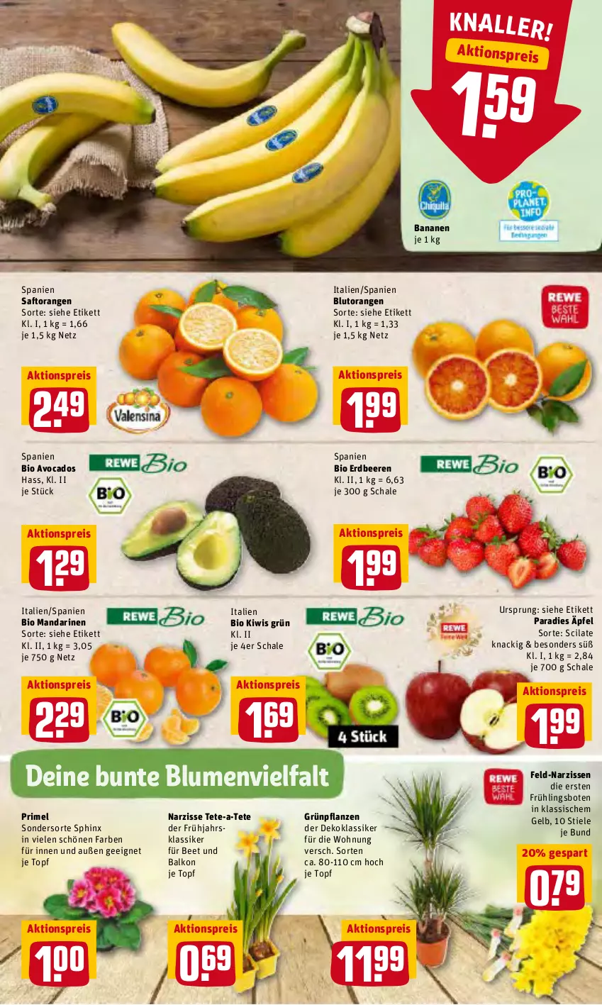 Aktueller Prospekt Rewe - Prospekte - von 14.02 bis 20.02.2022 - strona 2 - produkty: aktionspreis, avocado, avocados, banane, bananen, beere, beeren, bio, blume, blumen, Blutorange, eis, erdbeere, erdbeeren, Grünpflanzen, kiwi, mandarine, mandarinen, Narzissen, orange, orangen, pflanze, pflanzen, reis, saft, Saftorangen, Schal, Schale, Ti, topf