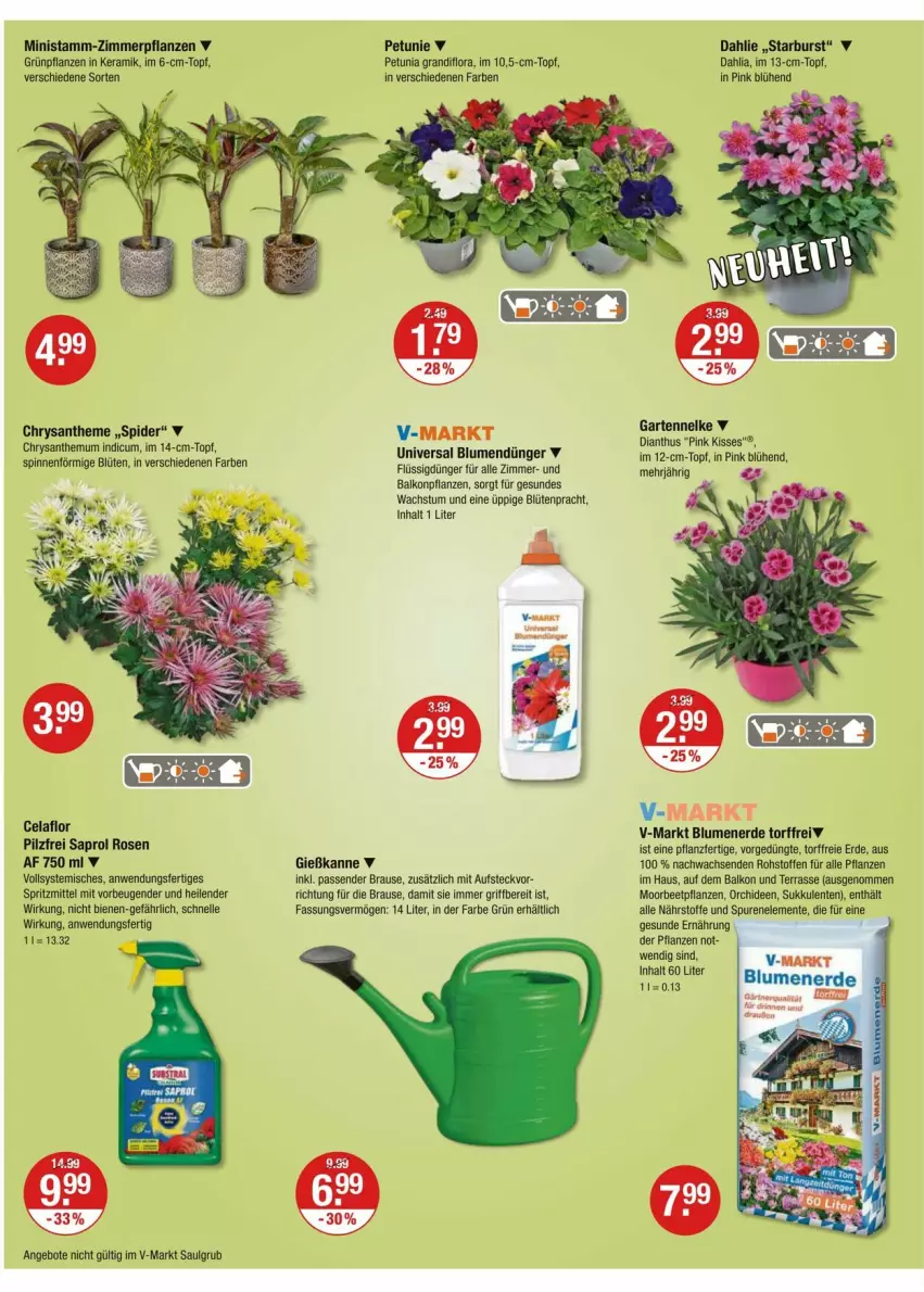 Aktueller Prospekt Vmarkt - Prospekte - von 12.06 bis 18.06.2025 - strona 20 - produkty: angebot, angebote, balkonpflanzen, beetpflanzen, blume, blumen, blumenerde, Blüte, brause, dahlie, dünger, elle, ente, erde, flüssigdünger, Garten, gartennelke, Gießkanne, Grünpflanzen, LG, orchidee, orchideen, petunie, pflanze, pflanzen, rosen, Sukkulente, Ti, topf