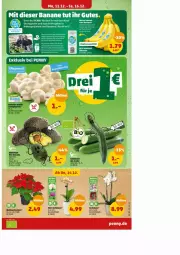 Gazetka promocyjna Penny - Prospekte - Gazetka - ważna od 16.12 do 16.12.2023 - strona 3 - produkty: banane, bananen, Bau, Brei, eier, elle, mac, Spezi, Ti, Weihnachtsstern