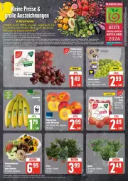 Gazetka promocyjna Edeka - Prospekte - Gazetka - ważna od 24.08 do 24.08.2024 - strona 6 - produkty: Abtei, arlo, Brei, deka, eier, eis, ente, frucht, Garten, leine, Nektar, nektarinen, nektarinen oder, obst, Obst und Gemüse, oder pfirsiche, pfirsich, pfirsiche, reis, ring, sac, südwest, tee, Ti, uhr, und gemüse, wagner, ZTE