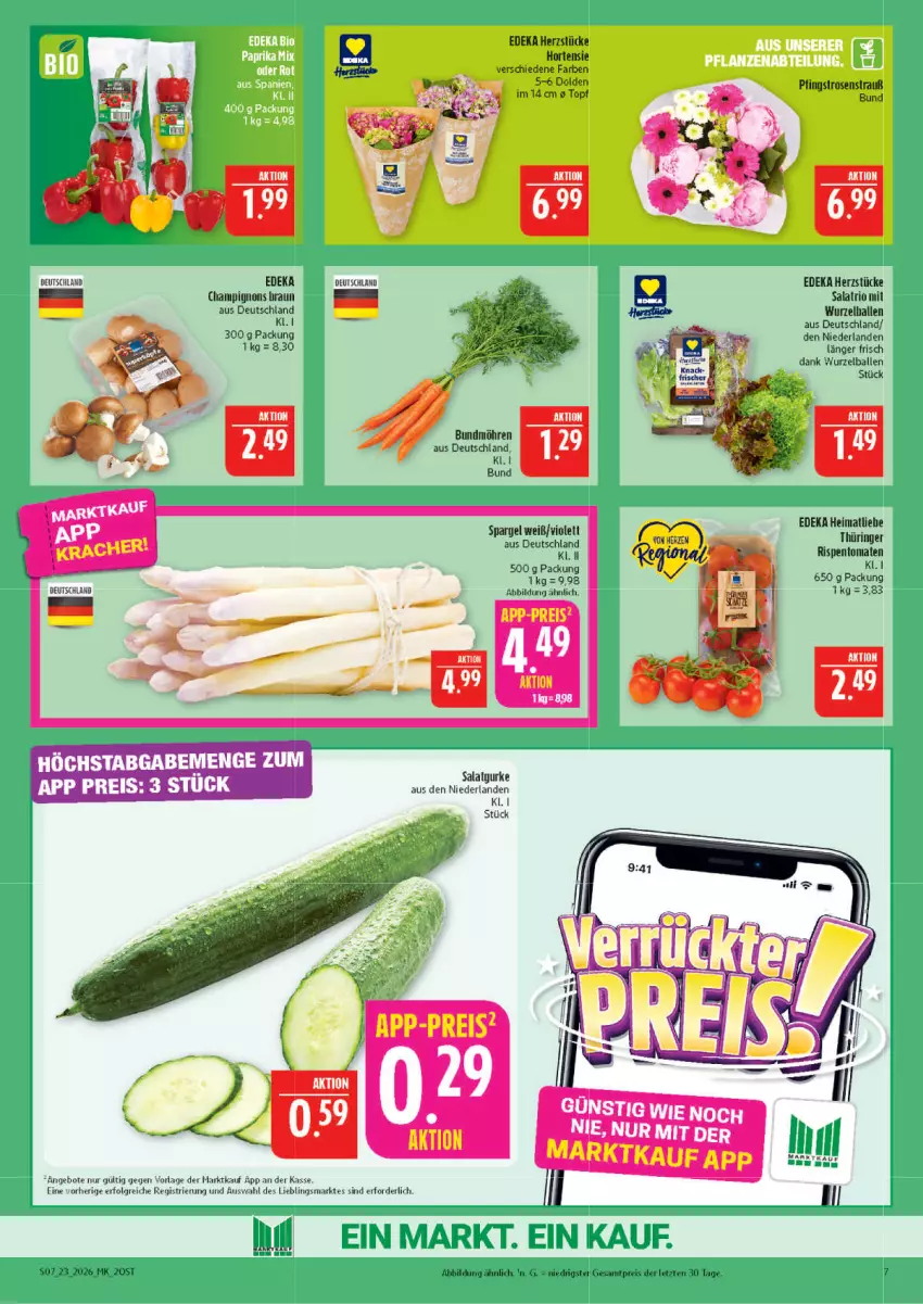 Aktueller Prospekt Marktkauf - Prospekt - von 31.05 bis 06.06.2026 - strona 7 - produkty: angebot, angebote, ball, braun, Bundmöhren, champignon, champignons, champignons braun, deka, eis, gurke, hortensie, LG, möhren, Pfingstrosen, reis, ring, rispentomaten, rosen, Rosenstrauß, salat, Salatgurke, spargel, Ti, tomate, tomaten, topf, tuc, ZTE