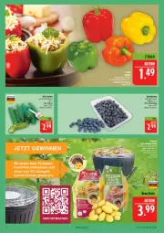 Gazetka promocyjna Marktkauf - Prospekt - Gazetka - ważna od 06.06 do 06.06.2026 - strona 8 - produkty: beere, beeren, gurke, gurken, heidelbeere, heidelbeeren, mini-gurken, Ti