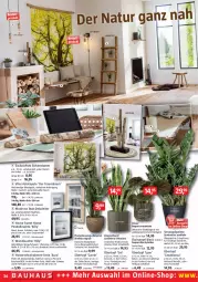 Gazetka promocyjna Bauhaus - Prospekte - Gazetka - ważna od 02.04 do 02.04.2022 - strona 34 - produkty: Bau, Begonia, Begonie, blume, Blüte, braun, dell, eis, elle, gin, Holz, HP, lack, lamm, Leuchte, leuchtmittel, LG, Mode, Pendelleuchte, pflanze, rel, Ria, ring, Schmuck, Tapete, Ti, tisch, topf, übertopf, Vliestapete, Zement