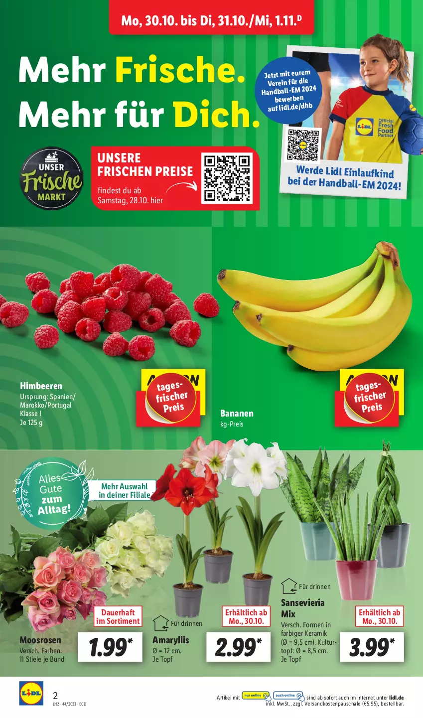 Aktueller Prospekt Lidl - Aktionsprospekt - von 30.10 bis 04.11.2023 - strona 2 - produkty: auer, ball, banane, bananen, beere, beeren, eis, erde, himbeer, himbeere, himbeeren, kulturtopf, ndk, reis, Ria, rosen, Schal, Schale, Ti, topf