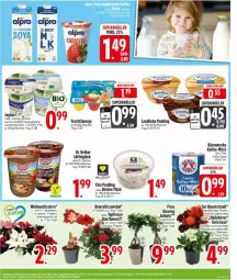 Gazetka promocyjna Edeka - Prospekte - Gazetka - ważna od 09.11 do 09.11.2024 - strona 11 - produkty: bärenmarke, Becher, chia, Dr. Oetker, frucht, fruchtzwerge, gin, joghur, joghurt, kaffee, landliebe, LG, Löffel, milch, müsli, pflanze, pudding, rosen, tee, Ti, topf, trolli, Weihnachtsstern