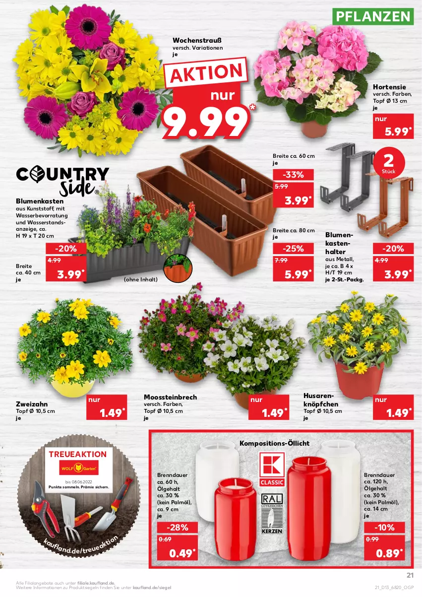 Aktueller Prospekt Kaufland - von 31.03 bis 06.04.2022 - strona 21 - produkty: angebot, angebote, auer, blume, blumen, Brei, hortensie, LG, pflanze, pflanzen, Ria, Ti, topf, wasser