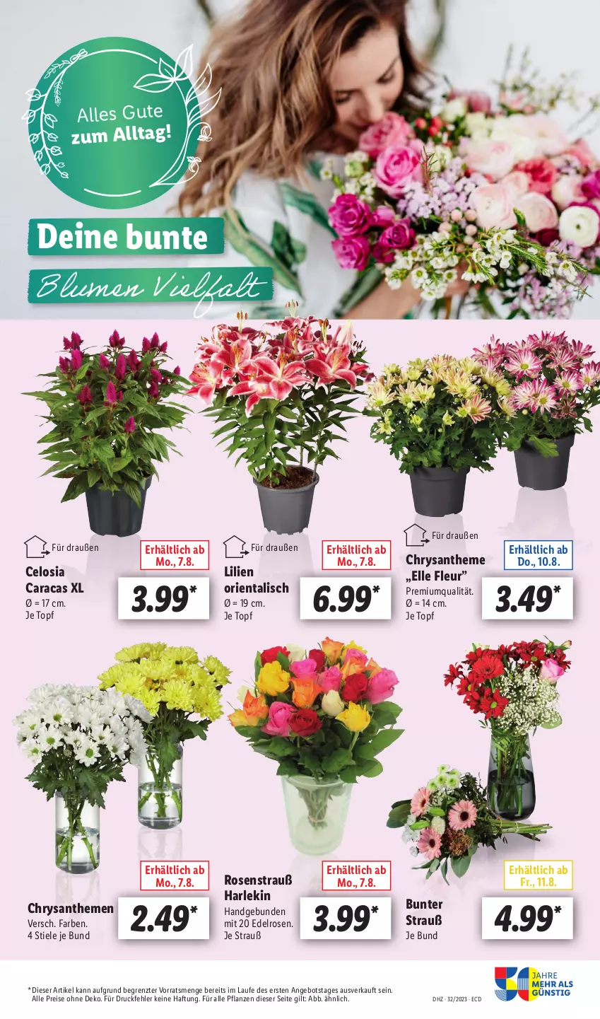 Aktueller Prospekt Lidl - Aktionsprospekt - von 07.08 bis 12.08.2023 - strona 29 - produkty: angebot, chrysanthemen, eis, elle, pflanze, pflanzen, reis, rosen, Rosenstrauß, Ti, topf, ZTE