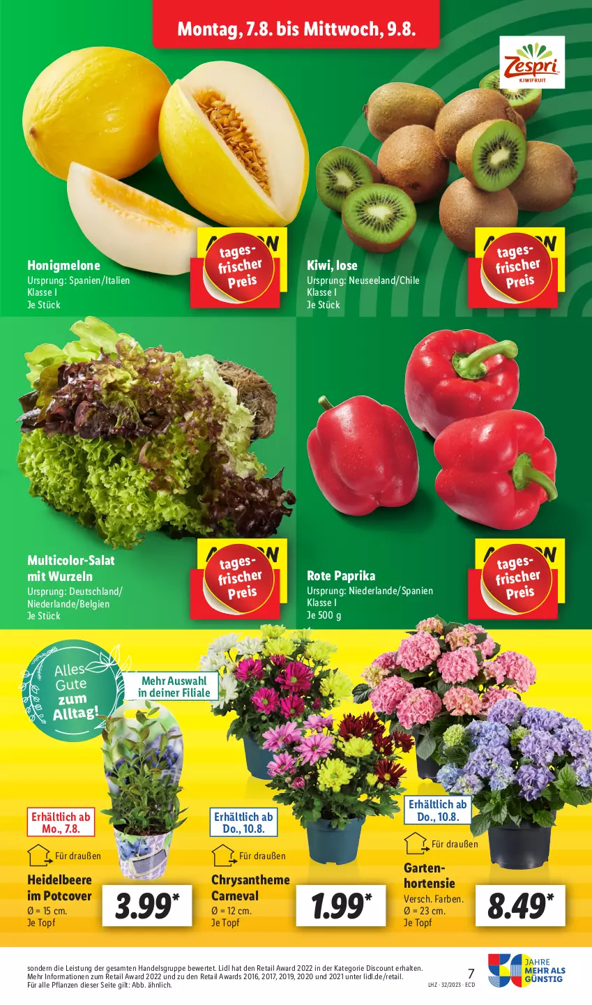 Aktueller Prospekt Lidl - Aktionsprospekt - von 07.08 bis 12.08.2023 - strona 7 - produkty: beere, discount, eis, Elan, Garten, heidelbeere, honig, honigmelone, hortensie, kiwi, LG, melone, paprika, pflanze, pflanzen, reis, salat, Ti, topf