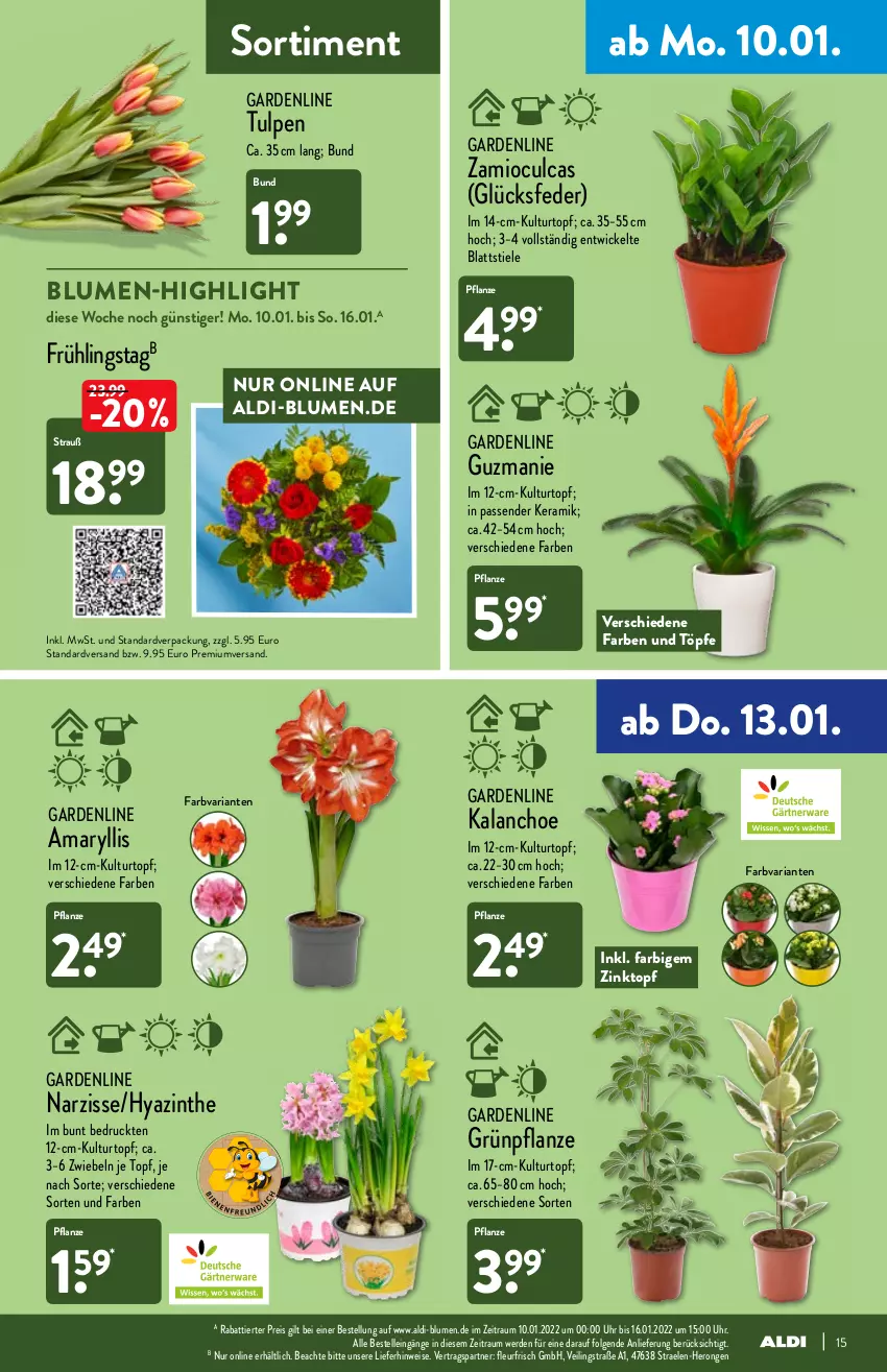 Aktueller Prospekt Aldi Nord - Aldi-Aktuell - von 10.01 bis 15.01.2022 - strona 15 - produkty: aldi, blume, blumen, Blüte, Brei, eis, elle, erde, hero, Kalanchoe, kulturtopf, LG, pflanze, reis, Ria, rind, Ti, topf, uhr, WICK, zwiebel, zwiebeln