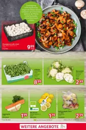 Gazetka promocyjna Selgros - Food - Gazetka - ważna od 06.11 do 06.11.2024 - strona 3 - produkty: angebot, angebote, apfel, beutel, bio, blume, blumen, blumenkohl, champignon, champignons, eis, feldsalat, natur, natura, reis, salat, suppe, suppen, Ti, zitrone