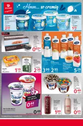 Gazetka promocyjna Selgros - Food - Gazetka - ważna od 06.11 do 06.11.2024 - strona 6 - produkty: auer, ball, Bau, Bauer, Becher, beere, cola, creme, eimer, flasche, joghur, joghurt, joghurt mild, kaffee, Kochcreme, landjoghurt, linsen, milch, monte, mousse, Mousse au Chocolat, panna cotta, rama, rama cremefine, sahne, sahne joghurt, sauce, schlagsahne, schoko, smoothie, Ti, true fruits, zott, Zott Monte