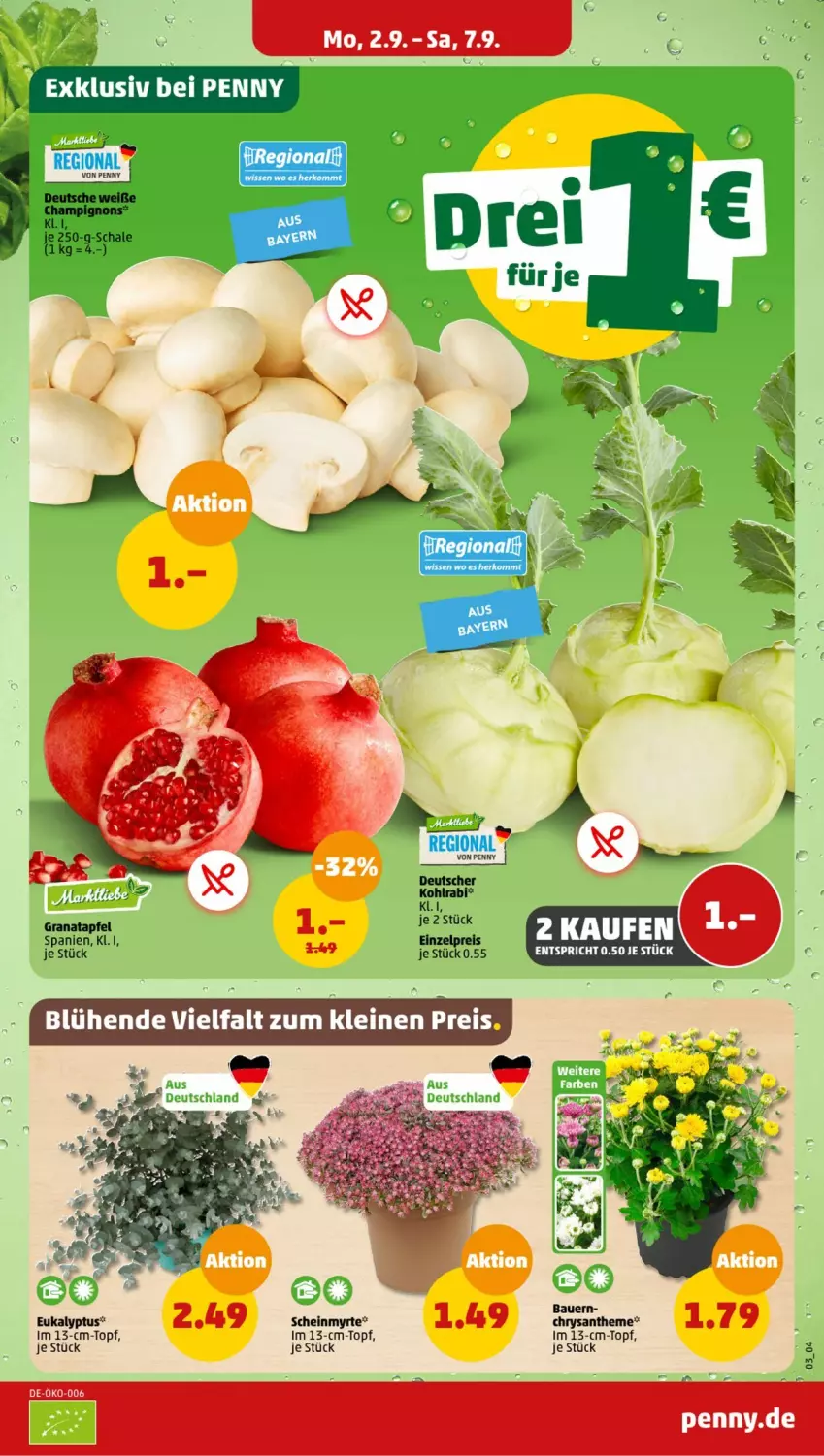 Aktueller Prospekt Penny - Prospekte - von 02.09 bis 07.09.2024 - strona 3 - produkty: apfel, eis, grana, granatapfel, kohlrabi, leine, Rana, reis, Schal, Schale, topf