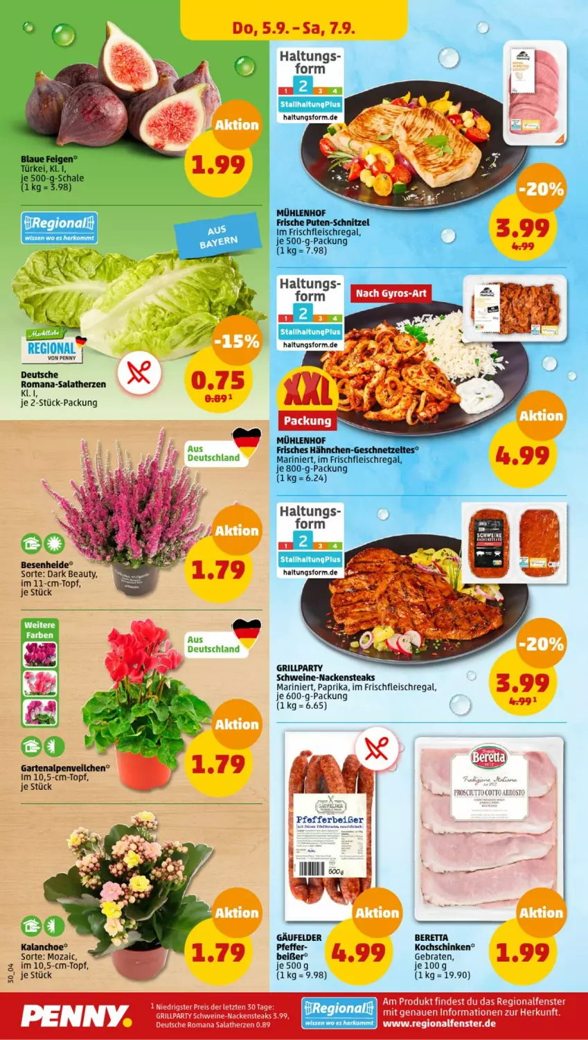 Aktueller Prospekt Penny - Prospekte - von 02.09 bis 07.09.2024 - strona 30 - produkty: Alpenveilchen, braten, eis, fenster, fleisch, Garten, geschnetzeltes, grill, Kalanchoe, kochschinken, Nackensteak, nackensteaks, paprika, pfeffer, Pfefferbeißer, prosciutto, pute, regal, reis, salat, salatherzen, Schal, Schale, schinken, schnitzel, schwein, schweine, steak, steaks, Ti, topf, wein, weine, Zelt, ZTE