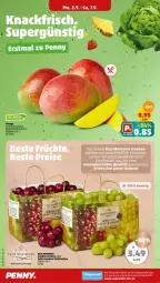 Gazetka promocyjna Penny - Prospekte - Gazetka - ważna od 07.09 do 07.09.2024 - strona 2 - produkty: elle, fenster, mango, tafeltrauben, Ti, trauben