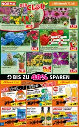 Gazetka promocyjna Norma - Norma - Gazetka - ważna od 22.07 do 22.07.2024 - strona 12 - produkty: ananas, Bad, beere, beeren, Blüte, bürste, bürsten, chrysanthemen, creme, Echinacea, erdbeere, flasche, Flowers, frucht, Garten, Gartenpflanze, hortensie, hortensien, irish whiskey, Kinder, kracher, kulturtopf, löwenmaul, maracuja, Max Fresh, mint, mundspülung, orange, pfirsich, pflanze, ritter, rum, spülung, Ti, topf, übertopf, whiskey, Wild, wild berry, zahnbürste, zahnbürsten, zahncreme, zucker