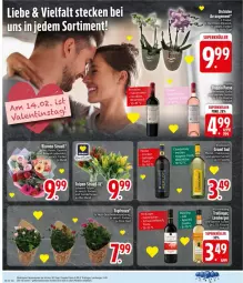 Gazetka promocyjna Edeka - Prospekte - Gazetka - ważna od 14.02 do 14.02.2026 - strona 10 - produkty: Berger, eis, ente, flasche, fleisch, grand sud, orchidee, reis, rind, rindfleisch, schwein, schweine, schweinefleisch, Ti, trolli, wein, weine, ZTE