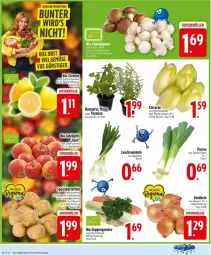 Gazetka promocyjna Edeka - Prospekte - Gazetka - ważna od 14.02 do 14.02.2026 - strona 4 - produkty: beutel, bio, braun, Lauchzwiebel, lauchzwiebeln, mehl, minze, ndk, rosmarin, suppe, suppen, Ti, topf, zwiebel, zwiebeln