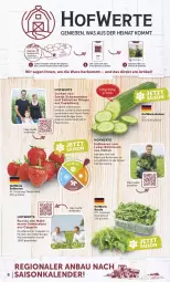 Gazetka promocyjna Combi - Prospekte - Gazetka - ważna od 08.06 do 08.06.2024 - strona 8 - produkty: asti, Bau, beere, beeren, burger, Cap, cola, decke, erdbeere, erdbeeren, gurke, gurken, rucola, sac, Schal, Schale, smartphone, Ti