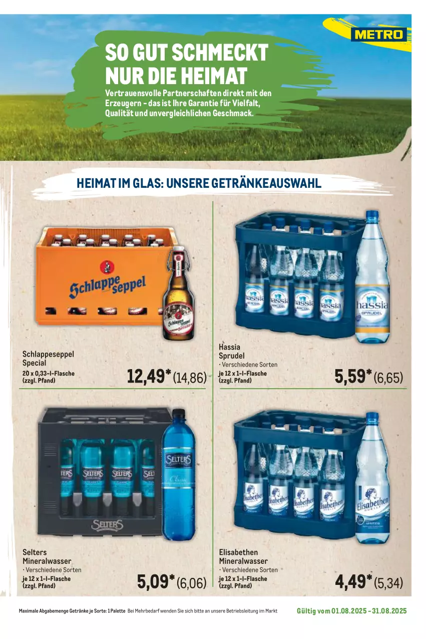 Aktueller Prospekt Metro - Regionaler Flyer - von 01.08 bis 31.08.2025 - strona 53 - produkty: Alwa, flasche, getränk, getränke, mac, mineralwasser, Palette, Selters, Sprudel, Ti, wasser