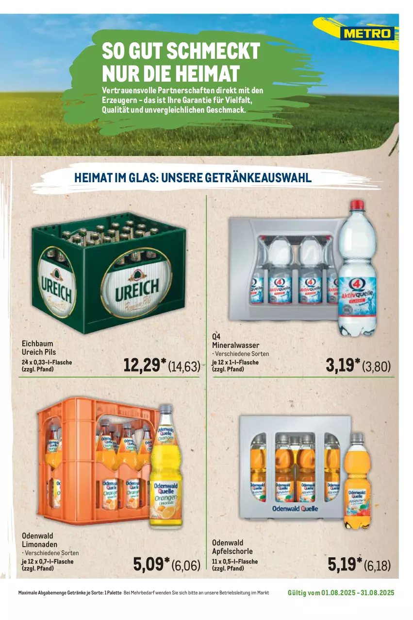 Aktueller Prospekt Metro - Regionaler Flyer - von 01.08 bis 31.08.2025 - strona 63 - produkty: Alwa, apfel, Apfelschorle, Bau, flasche, getränk, getränke, limo, limonade, limonaden, mac, mineralwasser, odenwald, Palette, pils, schorle, Ti, wasser
