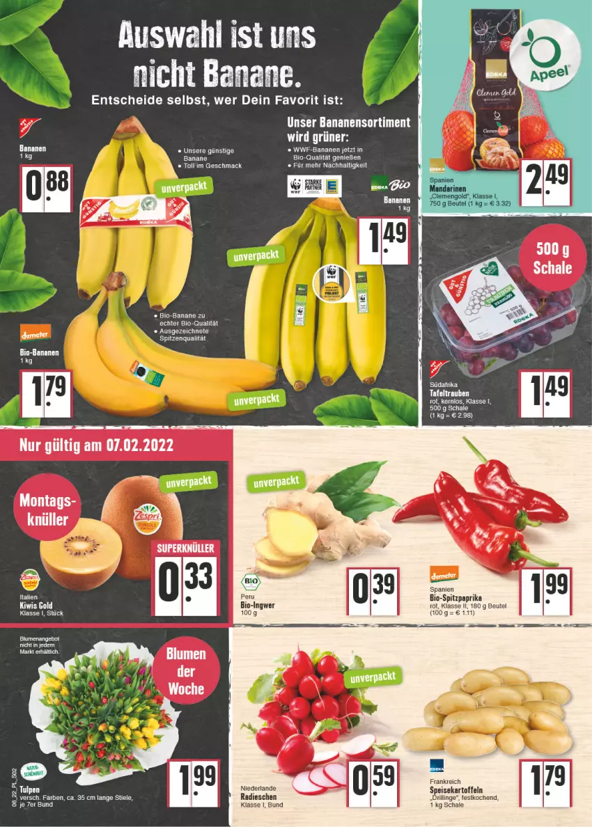 Aktueller Prospekt E Center - Angebote der Woche - von 07.02 bis 12.02.2022 - strona 2 - produkty: angebot, banane, bananen, beutel, bio, bio-bananen, blume, blumen, eis, ente, ingwer, kartoffel, kartoffeln, kiwi, mac, mandarine, mandarinen, paprika, radieschen, Schal, Schale, speisekartoffeln, spitzenqualität, Spitzpaprika, tafeltrauben, Ti, trauben