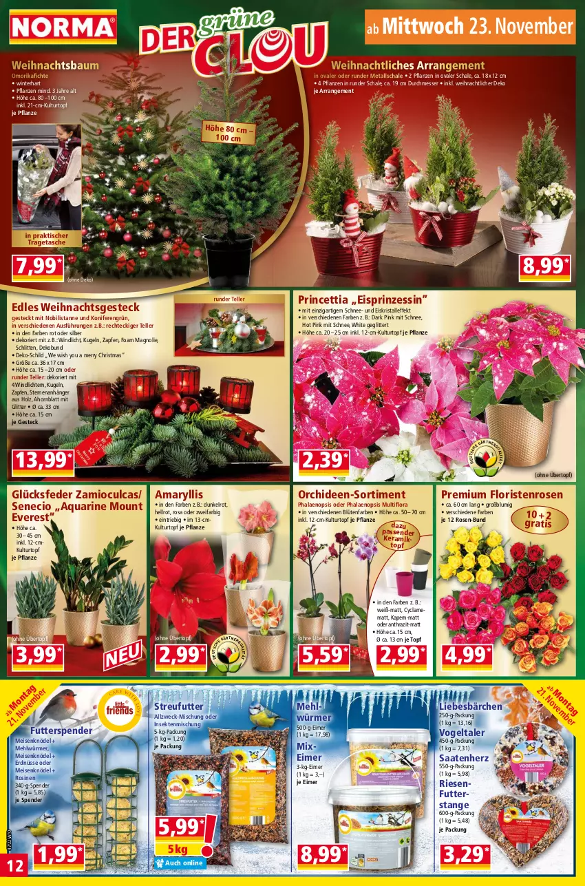 Aktueller Prospekt Norma - Norma - von 21.11 bis 28.11.2022 - strona 12 - produkty: Anhänger, aqua, Bau, Blüte, eimer, eis, elle, erdnüsse, Holz, Knödel, Konifere, Kugel, kulturtopf, mehl, Meisenknödel, messer, orchidee, orchideen, pflanze, pflanzen, phalaenopsis, rosen, Schal, Schale, Schlitten, sekt, senf, Streufutter, Tasche, teller, Ti, tisch, topf, tragetasche, übertopf, weck, Weihnachtsbaum, windlicht, Yo