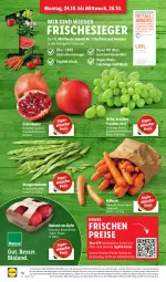 Gazetka promocyjna Lidl - Aktionsprospekt - Gazetka - ważna od 29.10 do 29.10.2022 - strona 12 - produkty: Abtei, angebot, apfel, bio, bioland, bohne, bohnen, discount, eis, elle, ente, frucht, grana, granatapfel, magazin, möhren, obst, Rana, reis, Ti, trauben, und gemüse