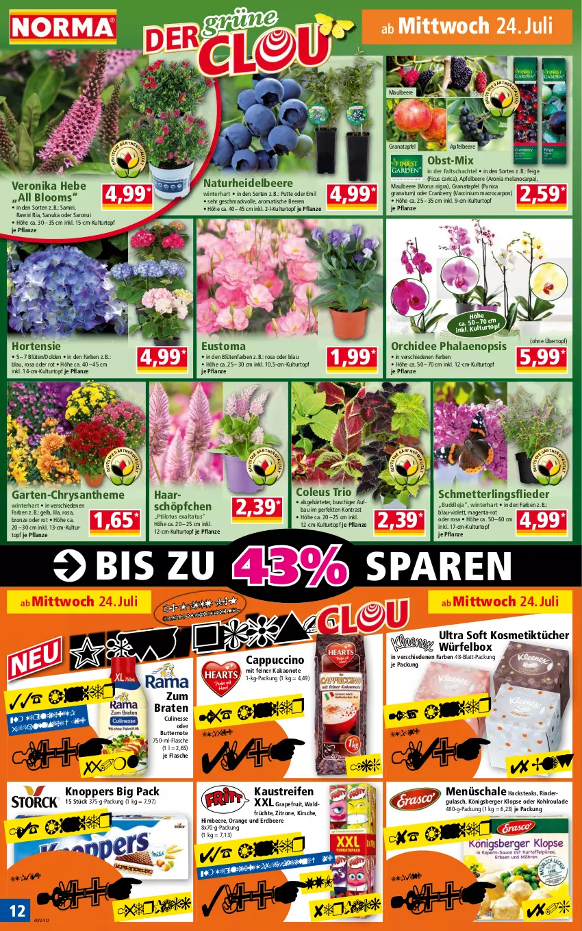 Aktueller Prospekt Norma - Norma - von 22.07 bis 29.07.2024 - strona 12 - produkty: ACC, apfel, aust, Bau, beere, beeren, Berger, Blüte, braten, butter, Cap, cappuccino, cin, cranberry, culinesse, Elan, erdbeere, Ficus, flasche, flieder, früchte, Garten, grana, granatapfel, grapefruit, gulasch, heidelbeere, himbeer, himbeere, hortensie, kakao, Kaustreifen, kirsch, kirsche, knoppers, Königsberger Klopse, kosmetik, Kosmetiktücher, kulturtopf, mac, Mett, natur, nuk, obst, orange, orchidee, pflanze, pflanzen, phalaenopsis, punica, Rana, reifen, Ria, rind, rinder, saro, Schal, Schale, Schmetterling, steak, steaks, Ti, tisch, topf, tücher, übertopf, würfel, zitrone