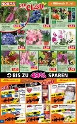 Gazetka promocyjna Norma - Norma - Gazetka - ważna od 29.07 do 29.07.2024 - strona 12 - produkty: ACC, apfel, aust, Bau, beere, beeren, Berger, Blüte, braten, butter, Cap, cappuccino, cin, cranberry, culinesse, Elan, erdbeere, Ficus, flasche, flieder, früchte, Garten, grana, granatapfel, grapefruit, gulasch, heidelbeere, himbeer, himbeere, hortensie, kakao, Kaustreifen, kirsch, kirsche, knoppers, Königsberger Klopse, kosmetik, Kosmetiktücher, kulturtopf, mac, Mett, natur, nuk, obst, orange, orchidee, pflanze, pflanzen, phalaenopsis, punica, Rana, reifen, Ria, rind, rinder, saro, Schal, Schale, Schmetterling, steak, steaks, Ti, tisch, topf, tücher, übertopf, würfel, zitrone