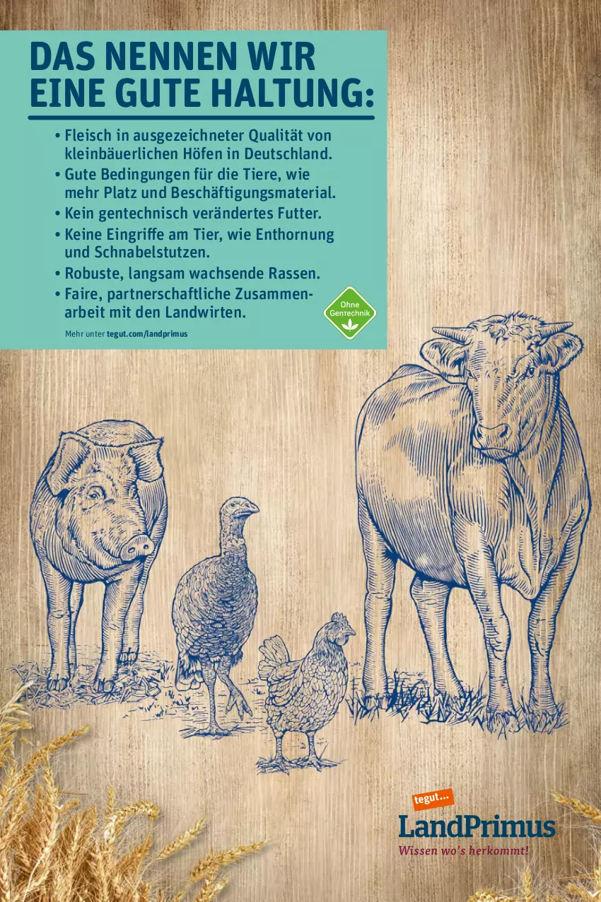 Aktueller Prospekt Tegut - Angebote der Woche - von 24.01 bis 29.01.2022 - strona 7 - produkty: eis, ente, fleisch, landprimus, Ria, Ti, Tiere