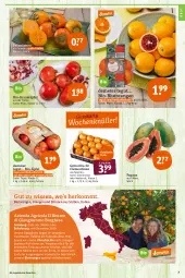 Gazetka promocyjna Tegut - Angebote der Woche - Gazetka - ważna od 29.01 do 29.01.2022 - strona 9 - produkty: angebot, angebote, Bau, bio, Blutorange, clementinen, cola, dekoration, eis, frucht, früchte, grana, Granatäpfel, Liege, mac, obst, orange, orangen, Papaya, Rana, reis, Ricola, Schal, Schale, sim, Ti, tisch, zitrone, zitronen