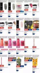 Gazetka promocyjna Dm Drogerie - Prospekte - Gazetka - ważna od 24.09 do 24.09.2025 - strona 7 - produkty: beutel, cranberry, eis, erde, frucht, getränk, getränke, getränkepulver, gewürz, Holz, kerze, lack, mango, Mode, Nagellack, orange, Popp, Profissimo, reis, riegel, sim, slip, tee, Ti, Yo, ZTE