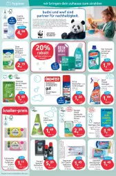 Gazetka promocyjna Budni - Prospekte - Gazetka - ważna od 25.02 do 25.02.2023 - strona 5 - produkty: backofen, binden, bio, cosmea, cottonelle, Discreet, elle, entkalker, grill, Grillreiniger, limette, magazin, Mett, minze, Ofen, Pants, papier, regal, reiniger, Reinigung, rezept, sagrotan, salz, Seife, Spezi, spontex, Ti, tücher, uhr