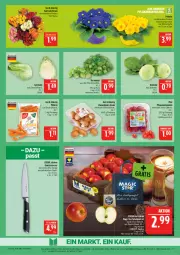 Gazetka promocyjna Marktkauf - Prospekt - Gazetka - ważna od 24.01 do 24.01.2026 - strona 9 - produkty: Blüte, braun, champignon, champignons, champignons braun, deka, discount, eis, kohlrabi, messer, möhren, pflaume, pflaumen, Primeln, reis, rosen, Rosenkohl, spitzkohl, tafeläpfel, Tasche, Ti, tomate, tomaten, topf, übertopf, ZTE