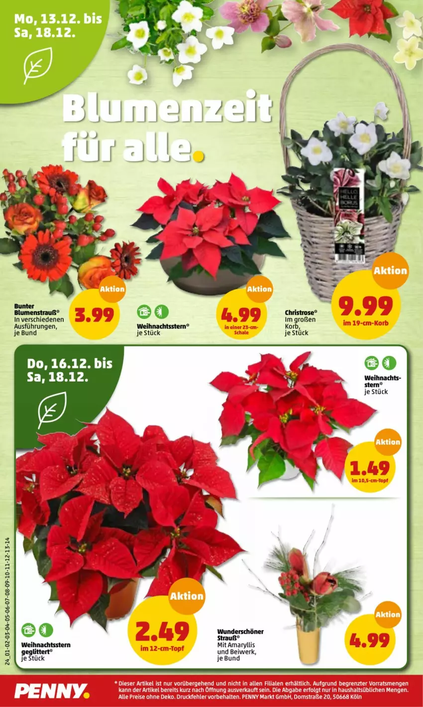 Aktueller Prospekt Penny - Prospekte - von 13.12 bis 18.12.2021 - strona 24 - produkty: blume, blumen, Blumenstrauß, LG, Weihnachtsstern, ZTE