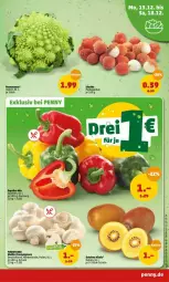 Gazetka promocyjna Penny - Prospekte - Gazetka - ważna od 18.12 do 18.12.2021 - strona 3 - produkty: champignon, champignons, kiwi, Schal, Schale