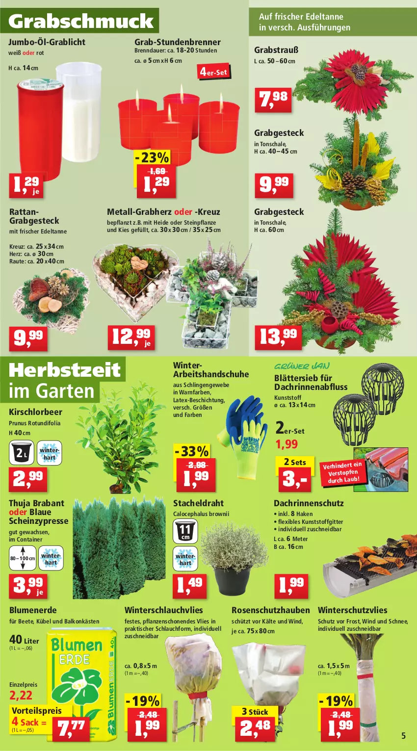 Aktueller Prospekt Thomas Philipps - Prospektwerbung - von 10.10 bis 15.10.2022 - strona 5 - produkty: akku, Akku-Bohrhammer, Akku-Hochentaster, aktionspreis, auer, Bau, blume, blumen, blumenerde, Bohrhammer, Container, Draht, einhell, eis, elle, erde, erdnuss, erdnüsse, Garten, hafer, handschuhe, heinz, Holz, jumbo, Kette, kirsch, kraft, ladegerät, nuss, ohne akku und ladegerät, reis, rosen, rwe, sac, säge, Schal, Schale, schlauch, Schmuck, schuhe, sonnenblume, sonnenblumen, Sonnenblumenkerne, spartipp, Spezi, stichsäge, Streufutter, Teleskop, Ti, tisch, topf, Topfen, Vogelfutter, vorteilspreis, werkzeug, werkzeuge, Wild, Winterschutz