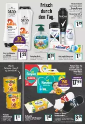 Gazetka promocyjna Edeka - Angebote der Woche - Gazetka - ważna od 02.04 do 02.04.2022 - strona 20 - produkty: baby-dry, Blüte, cottonelle, creme, deo, deospray, Deostick, elle, feuchtes toilettenpapier, flasche, gliss, gliss kur, hundenahrung, Nektar, Odol, olive, palmolive, pampers, Pants, papier, rexona, roll-on, schwarzkop, schwarzkopf, Seife, shampoo, shampoo oder spülung, sneaker, sneakersocken, socken, spülung, tee, Ti, toilettenpapier, zahncreme