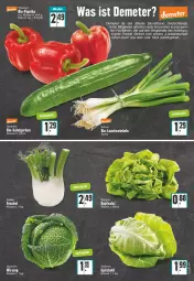 Gazetka promocyjna Edeka - Angebote der Woche - Gazetka - ważna od 02.04 do 02.04.2022 - strona 7 - produkty: bio, fenchel, gurke, gurken, kopfsalat, Lauchzwiebel, lauchzwiebeln, salat, Salatgurke, salatgurken, spitzkohl, steiner, zwiebel, zwiebeln