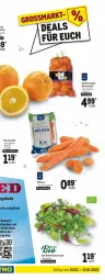 Gazetka promocyjna Metro - Food - Gazetka - ważna od 12.01 do 12.01.2022 - strona 3 - produkty: angebot, angebote, bio, decke, eis, kräuter, Lusti, Metro, möhren, obst, orange, orangen, paprika, paprika mix, reis, sac, saft, Saftorangen, salat, Salus, Ti, Wild, zitrone, zitronen