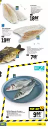 Gazetka promocyjna Metro - Food - Gazetka - ważna od 12.01 do 12.01.2022 - strona 9 - produkty: antipasti, aqua, asti, eis, elle, filet, fisch, fleisch, forelle, garnelen, grill, Heilbuttfilet, hipp, ideal zum grillen, mac, Metro, nuss, pasta, Pastagericht, rel, rum, saft, scholl, teppich, Ti, tisch, Wild, wolfsbarsch