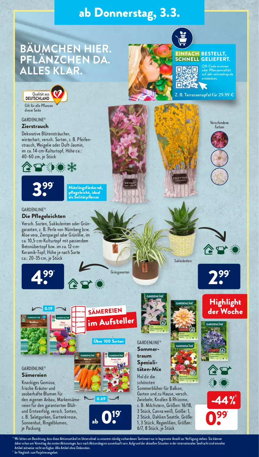 Aktueller Prospekt AldiSud - ALDI Aktuell - von 28.02 bis 05.03.2022 - strona 25 - produkty: aldi, alle artikel ohne dekoration, aloe vera, angebot, apfel, Bau, blume, blumen, Blüte, dahlie, decke, dekoration, eis, elle, ente, gardenline®, Garten, Gartenkresse, gin, gurke, gurken, kräuter, kulturtopf, LG, milch, pflanze, pflanzen, Rauch, reis, resa, ring, salat, Salatgurke, salatgurken, spargel, Spezi, Sukkulente, tee, teller, Ti, topf, übertopf, ZTE, zwiebel, zwiebeln