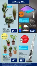 Gazetka promocyjna AldiSud - ALDI Aktuell - Gazetka - ważna od 05.03 do 05.03.2022 - strona 15 - produkty: angebot, batterie, batterien, casa deco, decke, dell, eis, elle, fernbedienung, Fotokalender, Grünpflanzen, gutschein, korb, Kunstpflanze, laminat, Läufer, LG, maille, Mode, monster, Monstera, natur, ndk, Paw Patrol, pflanze, pflanzen, reis, ring, tasse, teppich, teppiche, Ti, topf